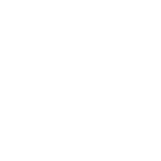 R AI
