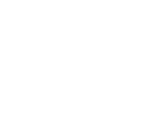 vEngageai