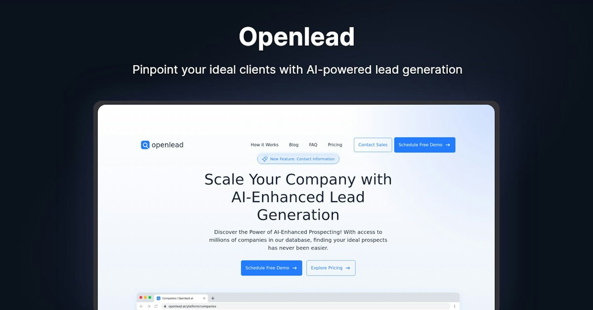 Openlead