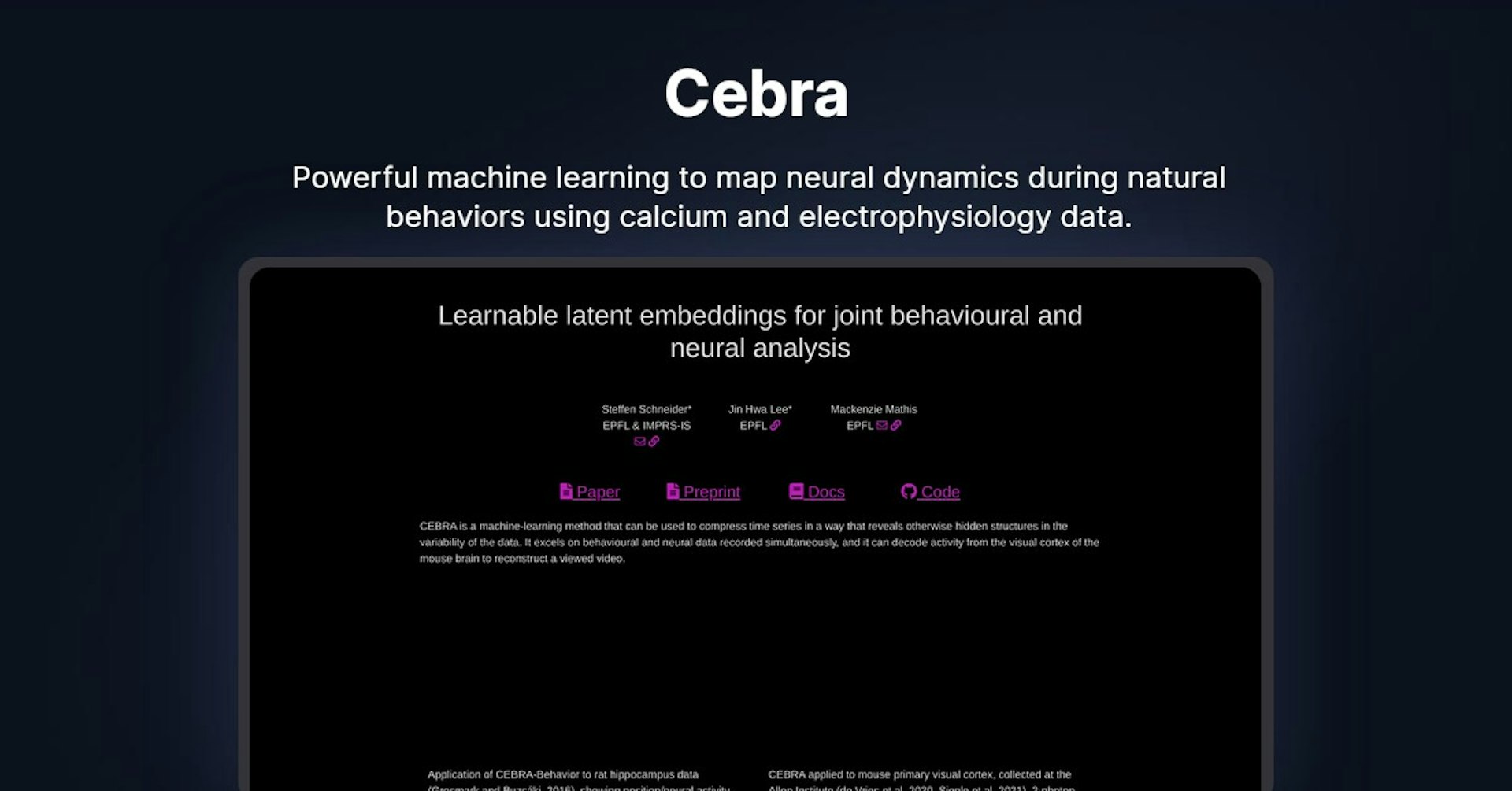 Cebra