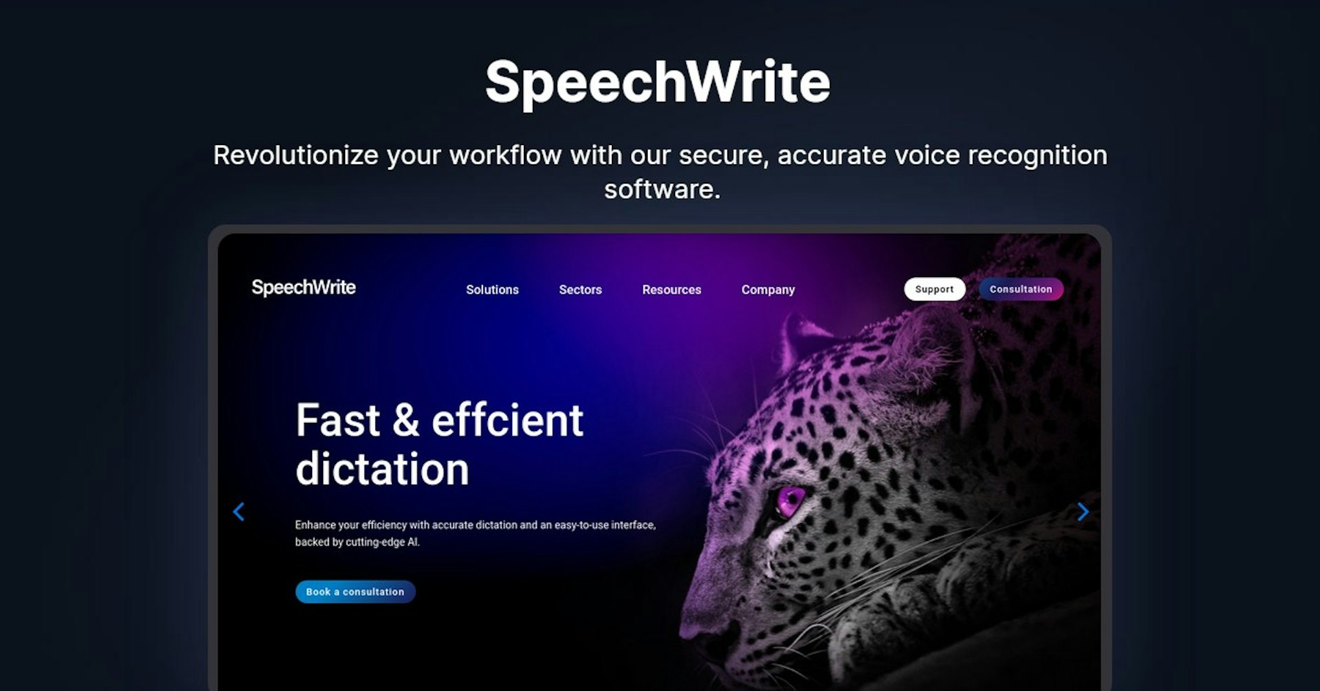 SpeechWrite