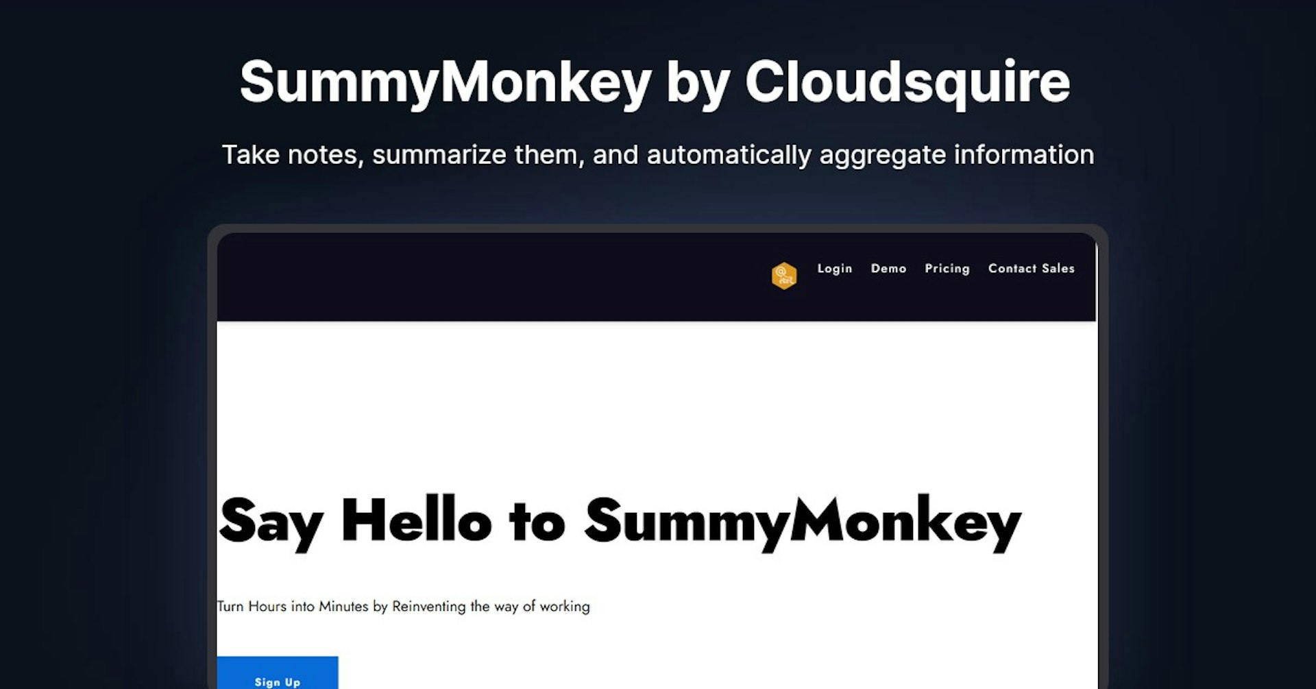 SummyMonkey by Cloudsquire