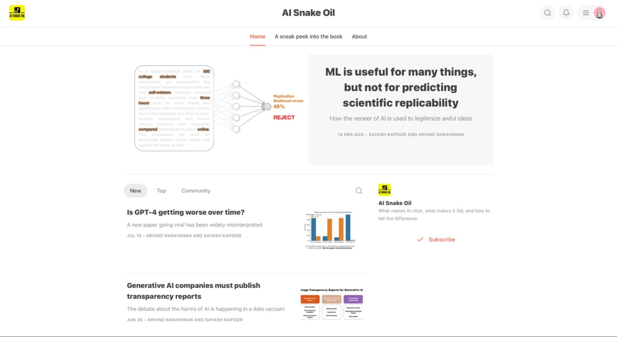 Screenshot of AI Snake Oil