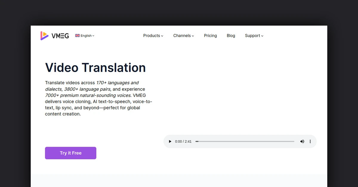 VMEG Video Translation