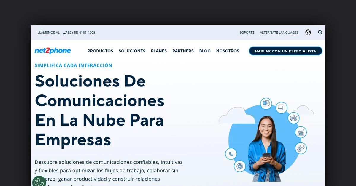 Net2Phone Global Services LLC