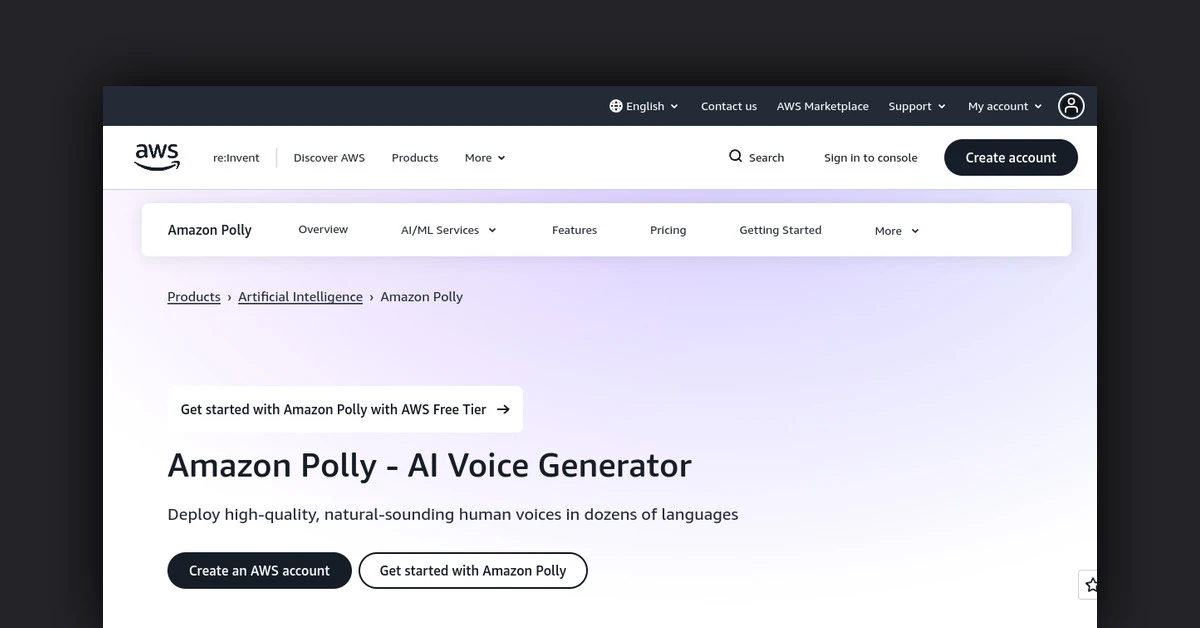 AWS AI Voice Generator and Text