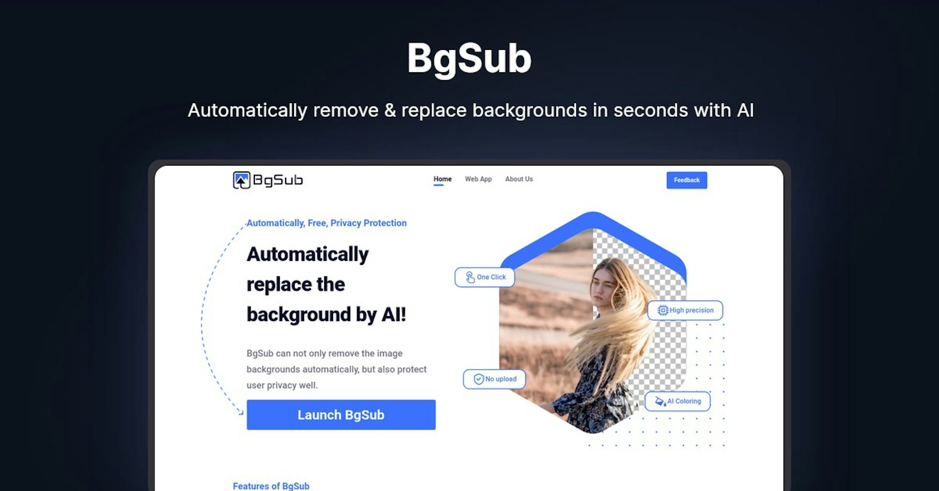 BgSub