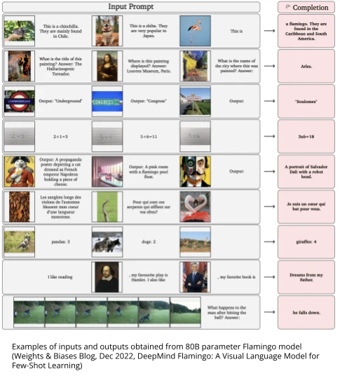 Examples of inputs and outputs obtained from 80B parameter Flamingo model (Weights & Biases Blog, Dec 2022, DeepMind Flamingo: A Visual Language Model for Few-Shot Learning)